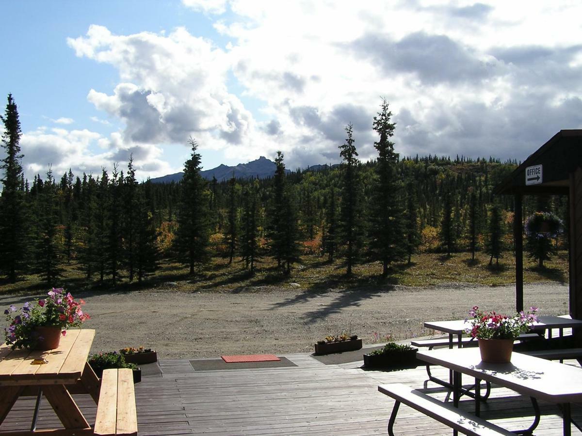 White Moose Lodge Healy Exteriör bild