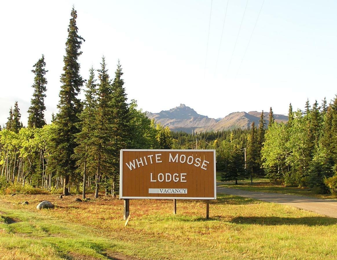 White Moose Lodge Healy Exteriör bild