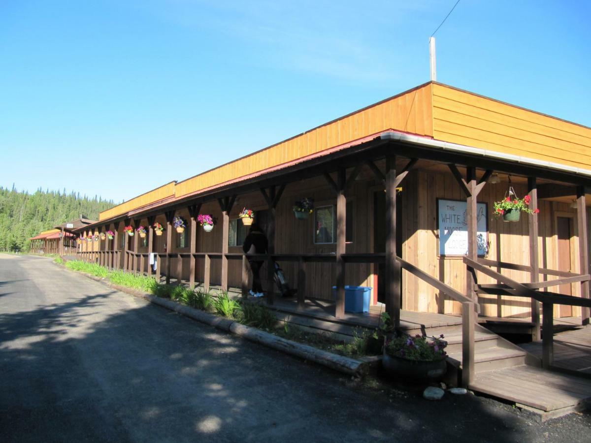 White Moose Lodge Healy Exteriör bild