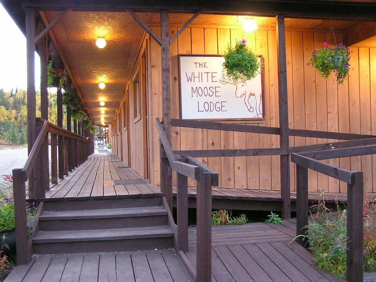 White Moose Lodge Healy Exteriör bild