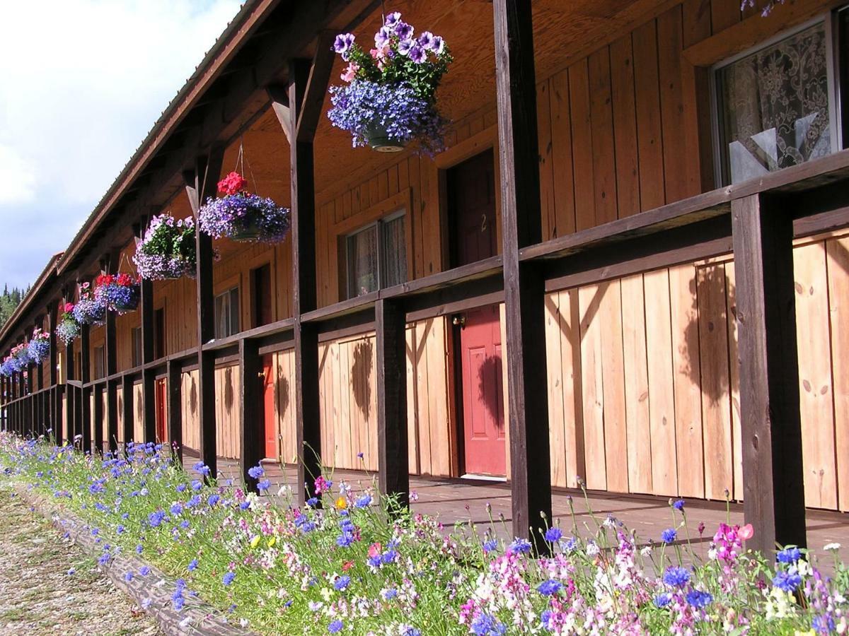 White Moose Lodge Healy Exteriör bild