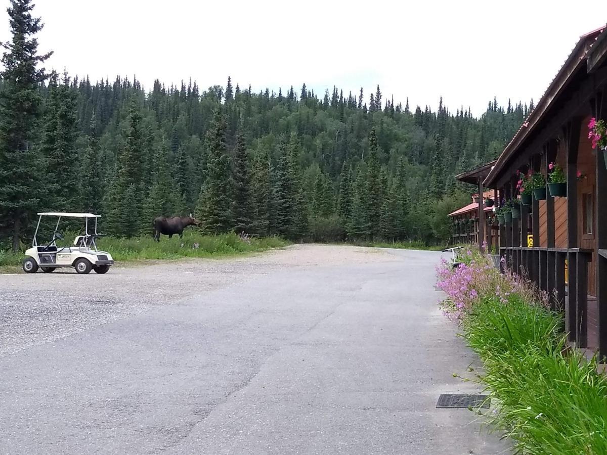 White Moose Lodge Healy Exteriör bild